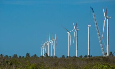 projeto-mapeia-caminhos-para-economia-verde-no-nordeste