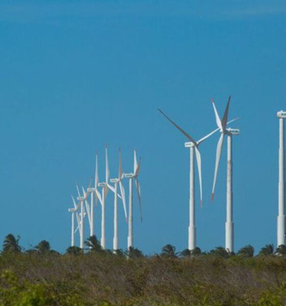 projeto-mapeia-caminhos-para-economia-verde-no-nordeste