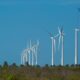 projeto-mapeia-caminhos-para-economia-verde-no-nordeste