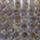 uso-de-medicamento-oferecido-no-sus-reduz-casos-de-malaria-no-brasil