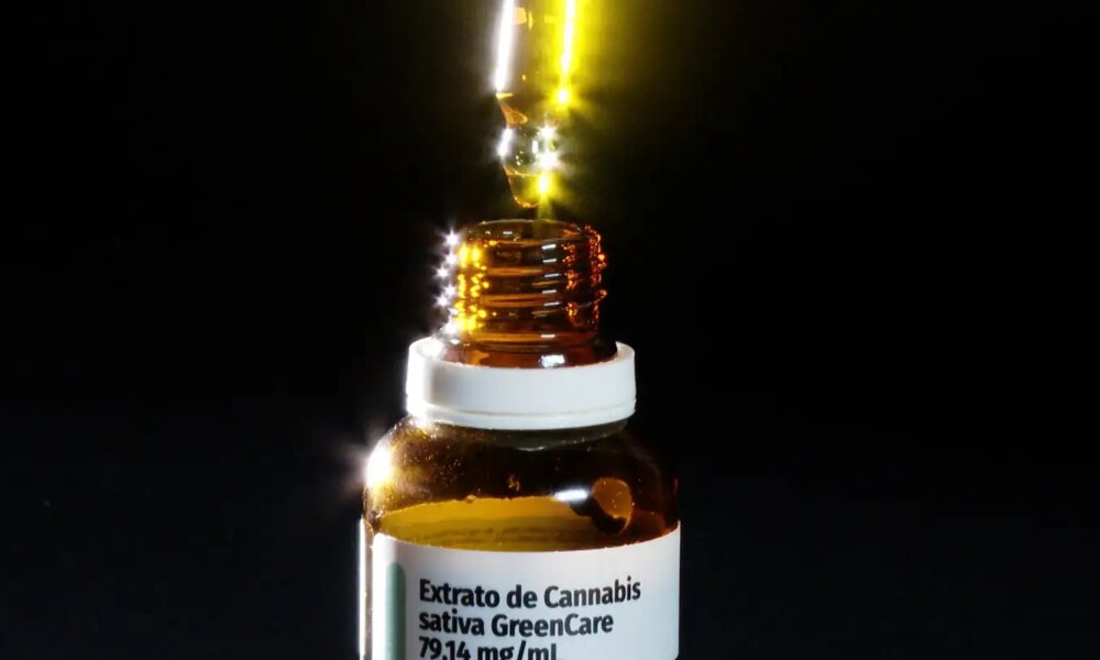 autorizacoes-para-importacao-de-cannabis-aumentam-29%-em-2026