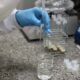 sbpc-convida-candidatos-a-governador-a-se-comprometerem-com-a-ciencia