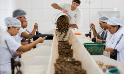 consulta-sobre-bens-sustentaveis-no-acordo-mercosul–ue-acaba-na-quarta