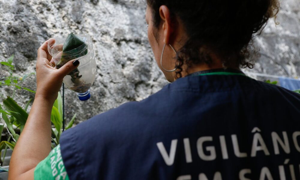 sao-paulo-tem-mais-de-58-mil-casos-de-dengue-desde-o-inicio-do-ano
