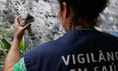 sao-paulo-tem-mais-de-58-mil-casos-de-dengue-desde-o-inicio-do-ano