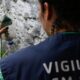 sao-paulo-tem-mais-de-58-mil-casos-de-dengue-desde-o-inicio-do-ano