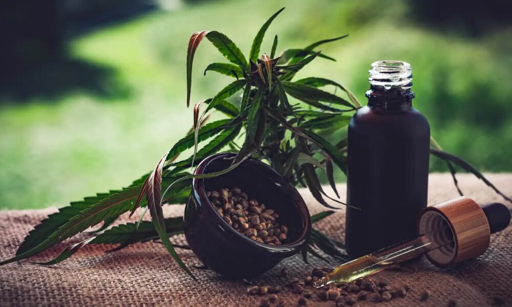para-associacoes,-normas-ainda-deixam-pontos-em-aberto-sobre-cannabis