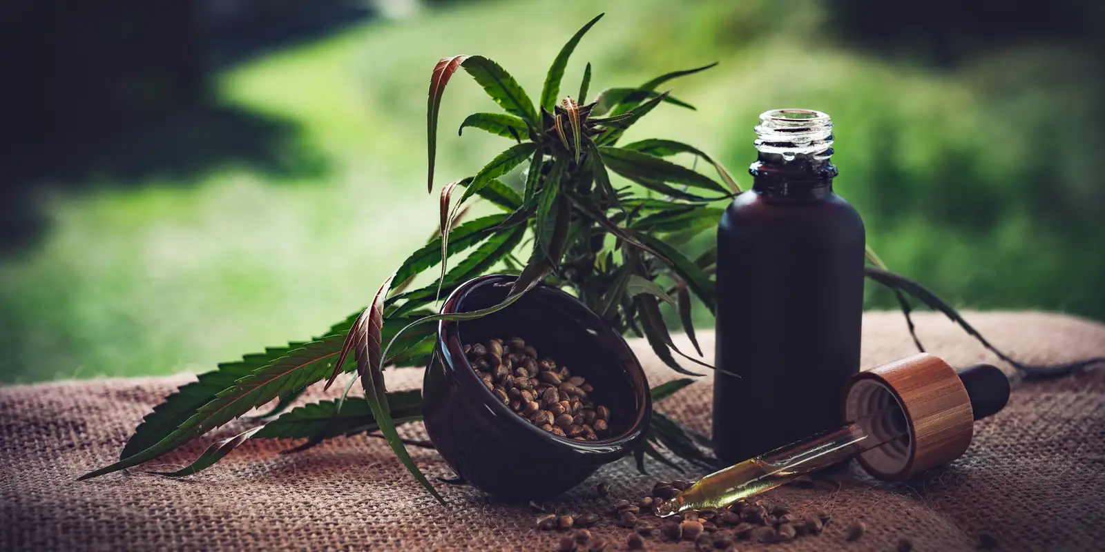 para-associacoes,-normas-ainda-deixam-pontos-em-aberto-sobre-cannabis