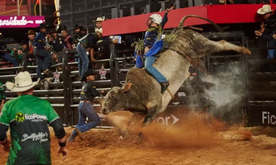 jaguariuna-rodeo-festival-tera-etapa-da-pbr-com-premiacao-de-r$-100-mil