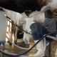 producao-de-leite-bate-recorde-mesmo-com-reducao-de-vacas-ordenhadas