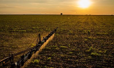 seguro-rural:-novas-regras-ampliam-cobertura-e-protecao-ao-produtor