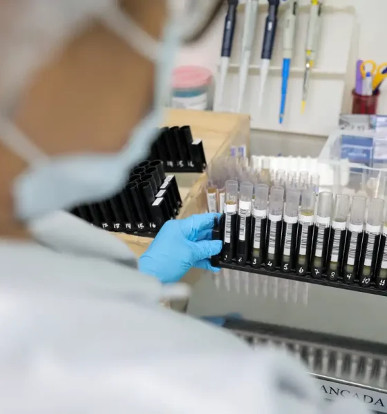 malaria:-anvisa-autoriza-teste-em-humanos-de-vacina-100%-brasileira