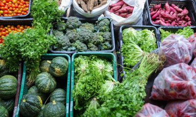 seguranca-alimentar-exige-esforco-coletivo-e-articulacao