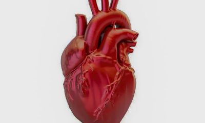 a-cada-72-segundos,-uma-pessoa-morre-por-doenca-cardiovascular-no-pais