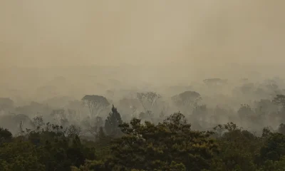 forca-nacional-do-sus-apoia-atendimentos-no-amazonas-apos-incendios