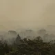 forca-nacional-do-sus-apoia-atendimentos-no-amazonas-apos-incendios