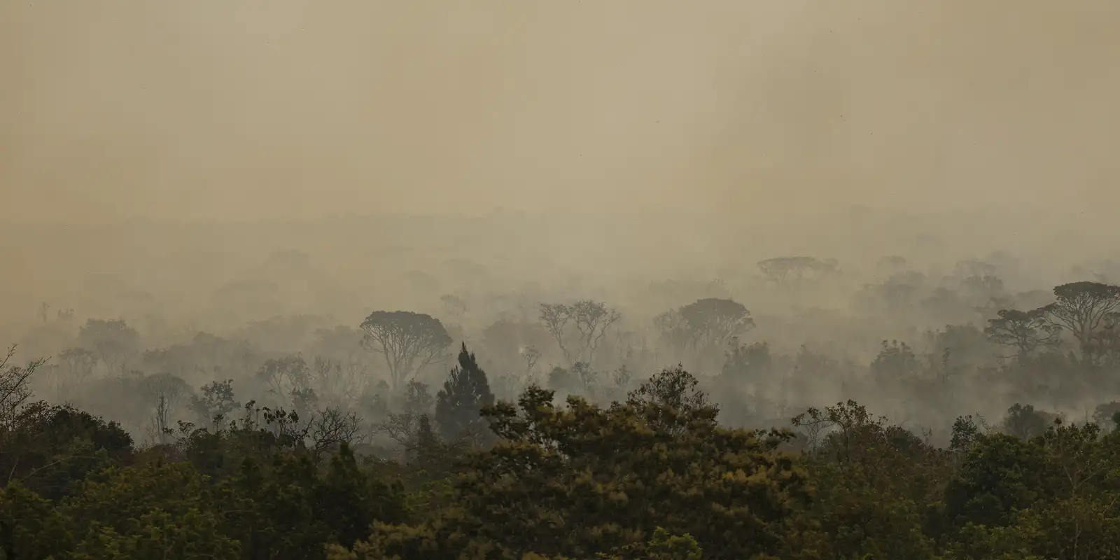 forca-nacional-do-sus-apoia-atendimentos-no-amazonas-apos-incendios