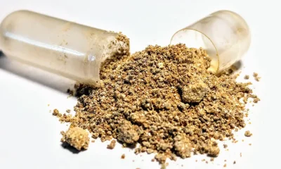 ashwagandha:-anvisa-alerta-que-suplemento-do-tiktok-nao-tem-registro