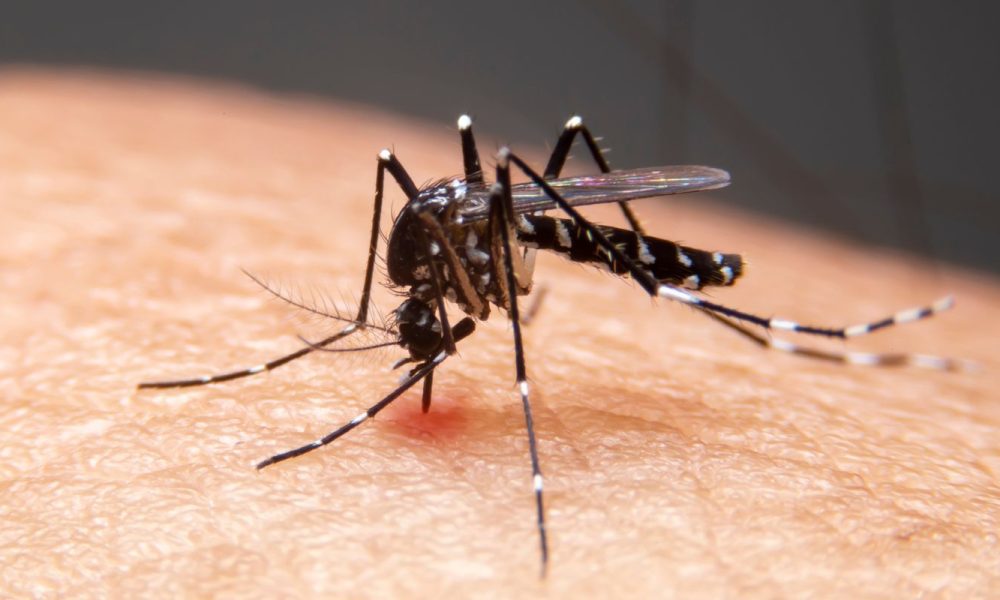 mudancas-climaticas-ja-causam-aumento-de-doencas-infecciosas-no-pais